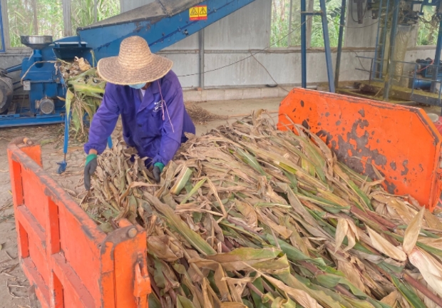 微信截圖_20241226165650.jpg 微信截圖_20241226165650.jpg