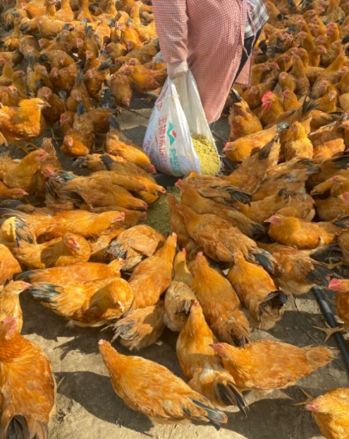 微信截圖_20241226165620.jpg 微信截圖_20241226165620.jpg