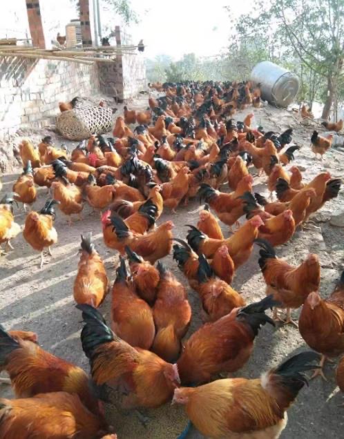 微信圖片_20241226171732.jpg 微信圖片_20241226171732.jpg