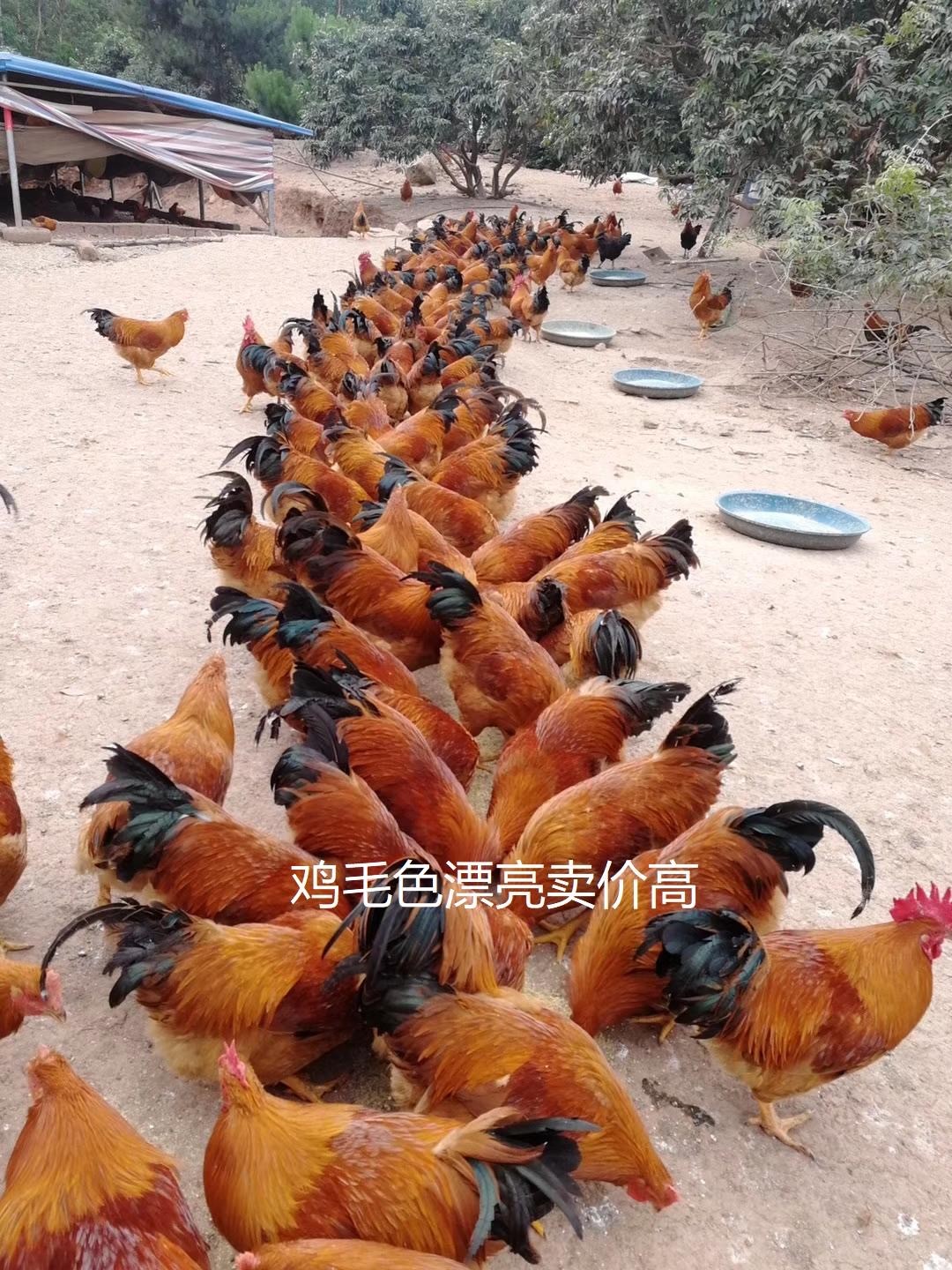 微信圖片_20241226171724.jpg 微信圖片_20241226171724.jpg