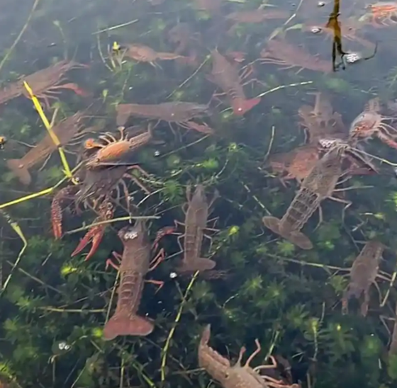 E8FF8C01F7089D46390566159F09A999.png E8FF8C01F7089D46390566159F09A999.png