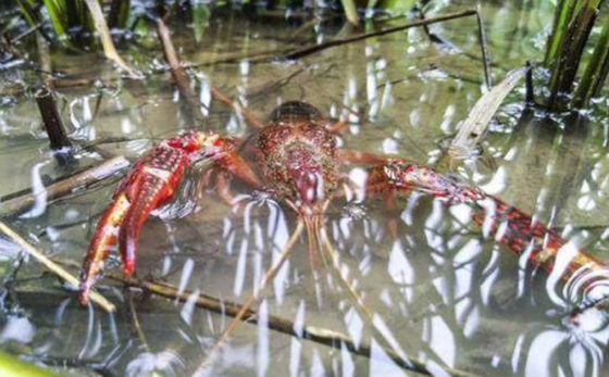 B982EE6A8B9882390DC7B8FB28438D3A.png B982EE6A8B9882390DC7B8FB28438D3A.png