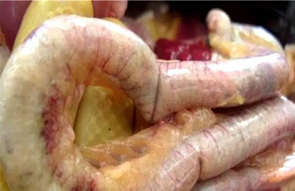 微信圖片_20241230104940.jpg 微信圖片_20241230104940.jpg