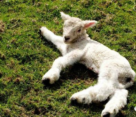 QQ圖片20241230113046.png QQ圖片20241230113046.png