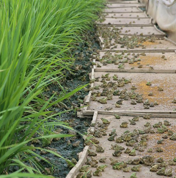 DD0869F98701CC266DB981D0713ABC02.png DD0869F98701CC266DB981D0713ABC02.png