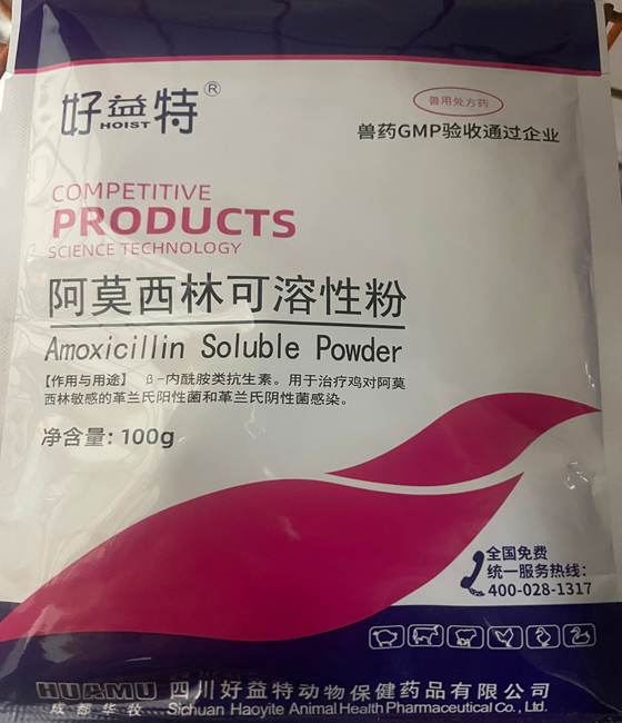 1A89BA81C125015F5D359A8F51F2FC76.png 1A89BA81C125015F5D359A8F51F2FC76.png