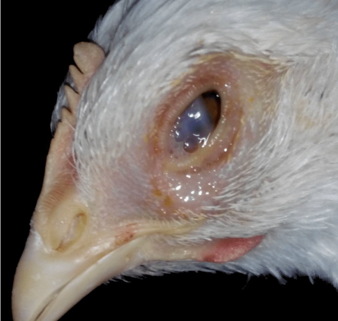 微信截圖_20250103091202.jpg 微信截圖_20250103091202.jpg