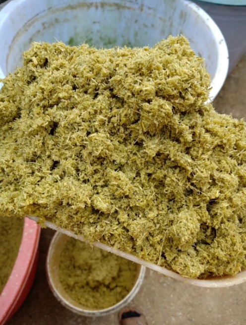 微信截圖_20250106113509.jpg 微信截圖_20250106113509.jpg