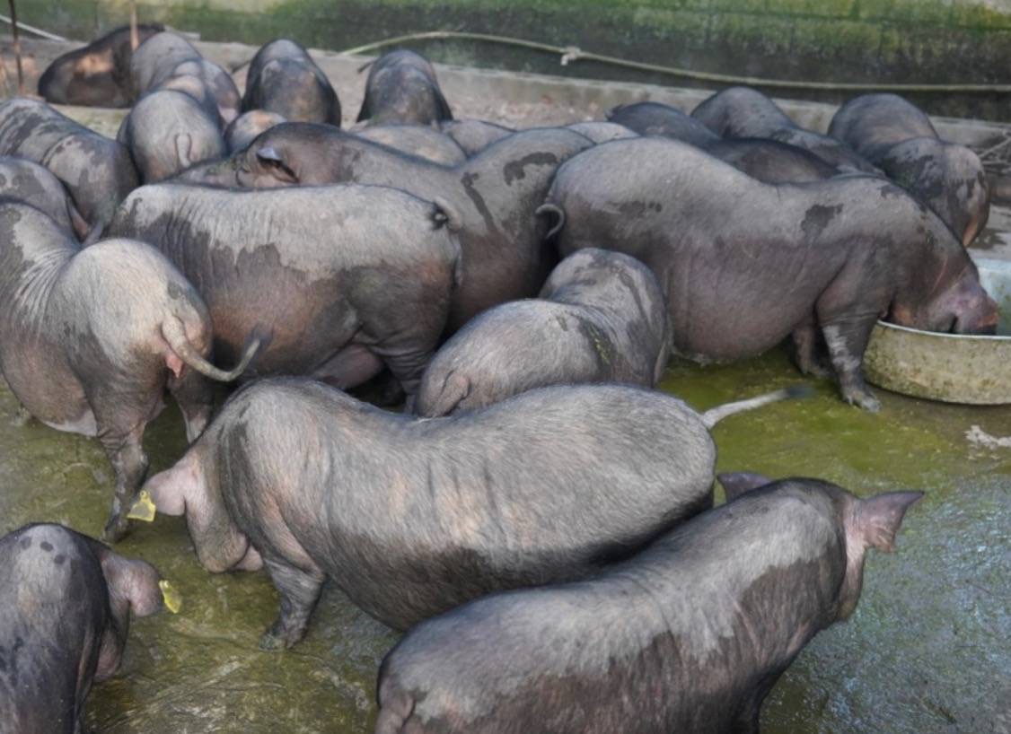 微信圖片_20250106113516.jpg 微信圖片_20250106113516.jpg