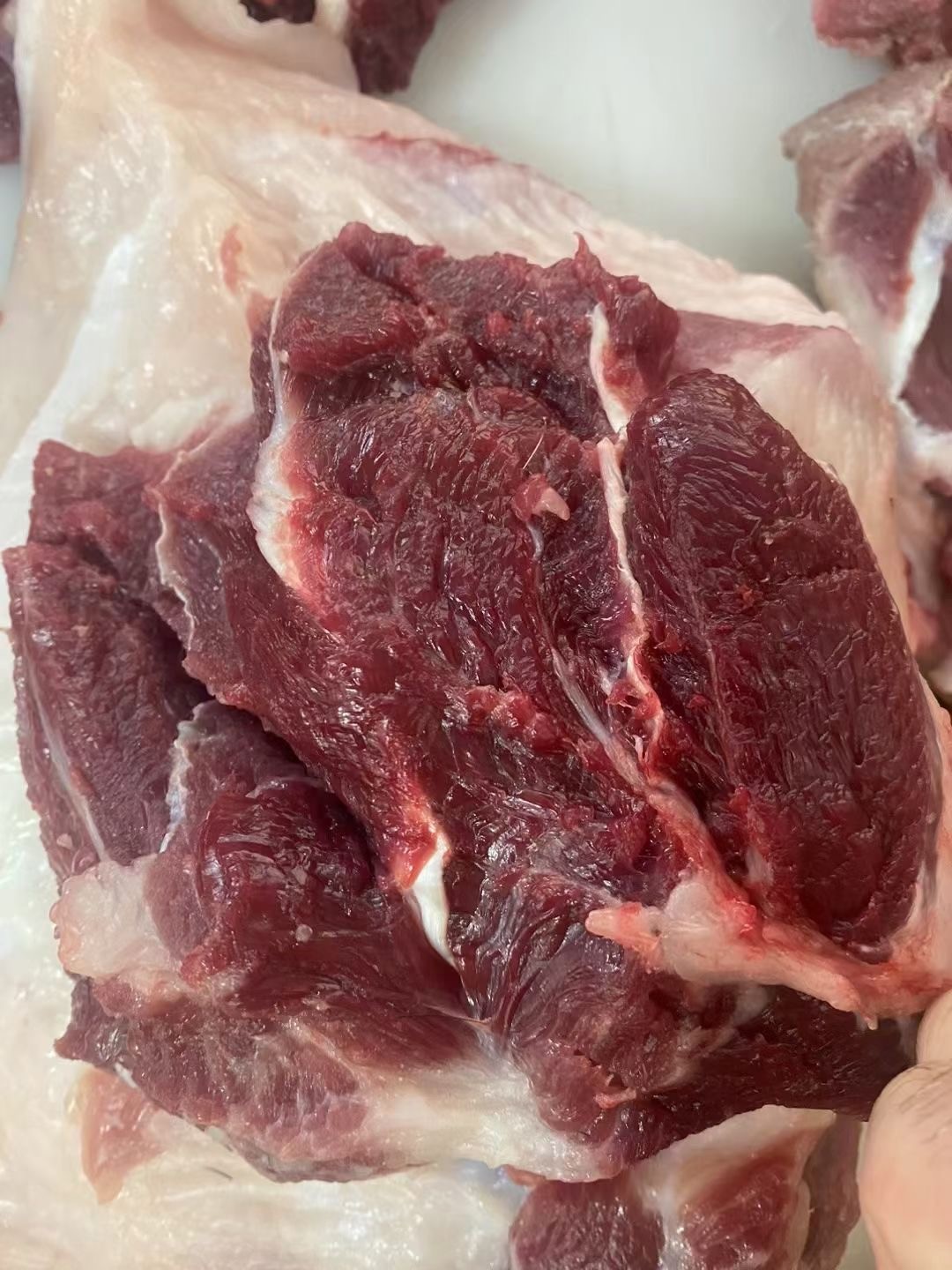 微信圖片_20250106113525.jpg 微信圖片_20250106113525.jpg