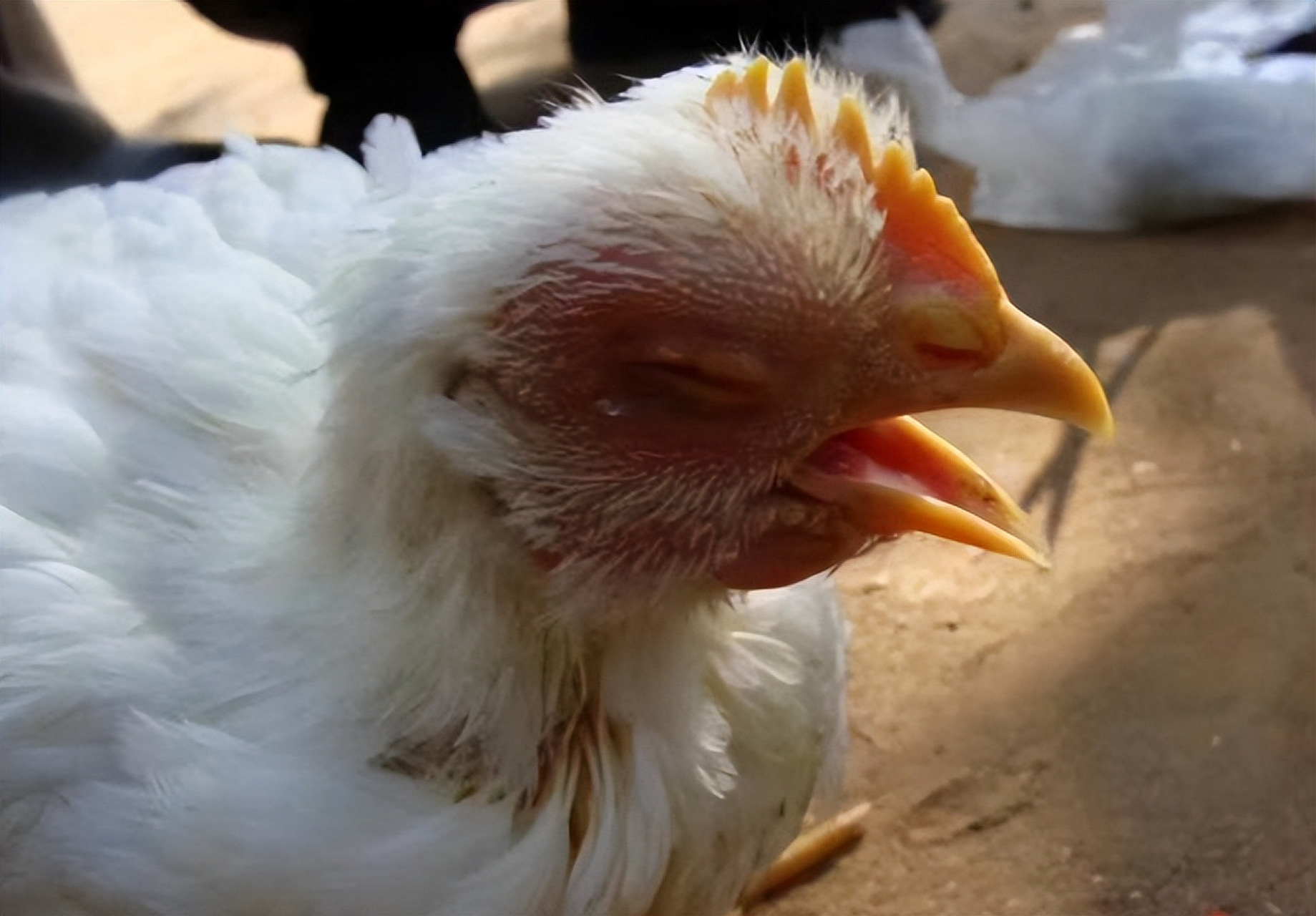 微信圖片_20250107092851.jpg 微信圖片_20250107092851.jpg