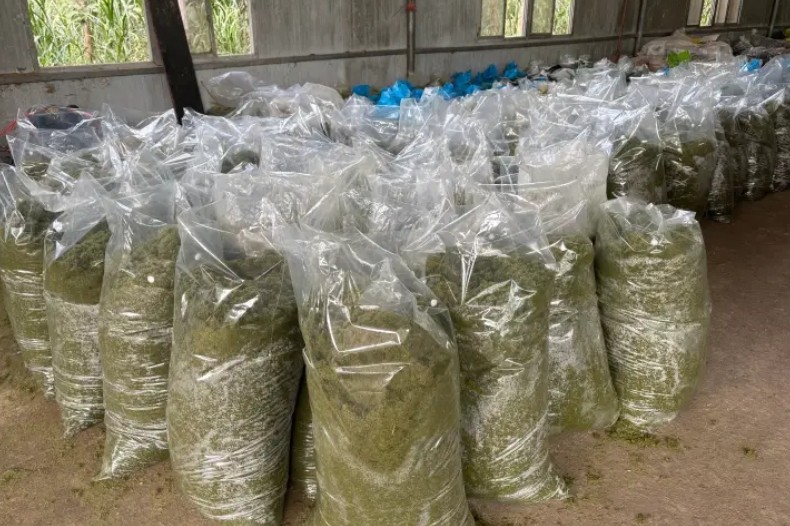 微信截圖_20250106164828.jpg 微信截圖_20250106164828.jpg