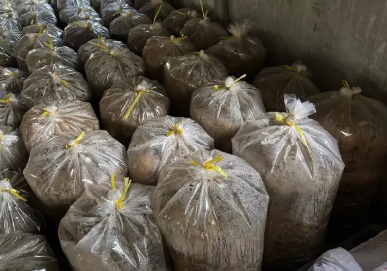 微信截圖_20250106164739.jpg 微信截圖_20250106164739.jpg