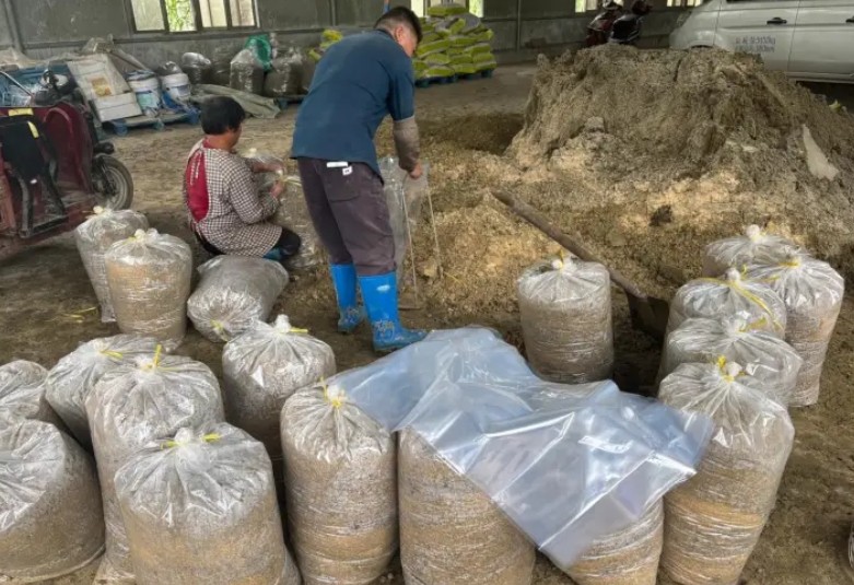 微信截圖_20250106164752.jpg 微信截圖_20250106164752.jpg