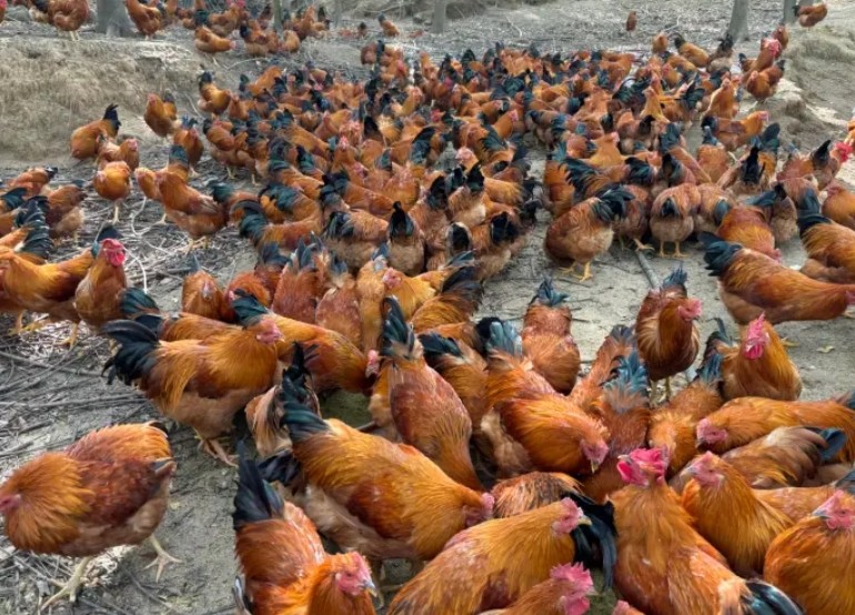 微信截圖_20250106164806.jpg 微信截圖_20250106164806.jpg