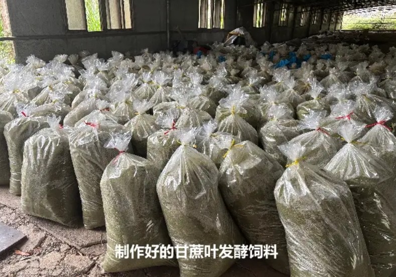 微信截圖_20250106165035.jpg 微信截圖_20250106165035.jpg