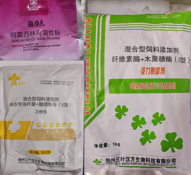 595e88356184d744a9ccf38a93a6c14.png 595e88356184d744a9ccf38a93a6c14.png