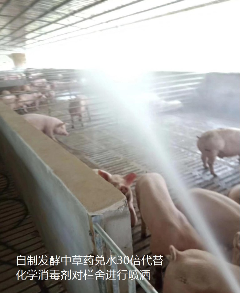 欄舍噴灑消毒.jpg 欄舍噴灑消毒.jpg