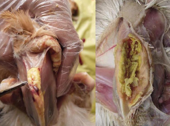 FC8A8B9FE0C9C514E2463045E8070AB1.png FC8A8B9FE0C9C514E2463045E8070AB1.png