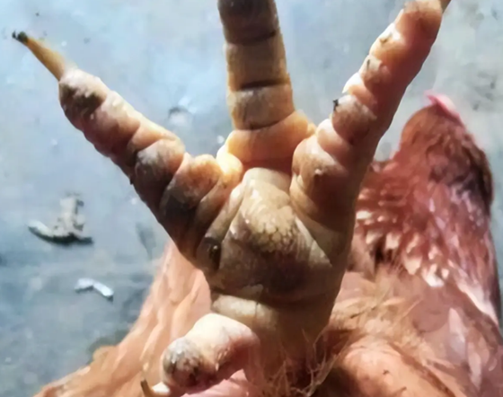 CCC5BBADF52F124C8B4567E6368BD2C8.png CCC5BBADF52F124C8B4567E6368BD2C8.png