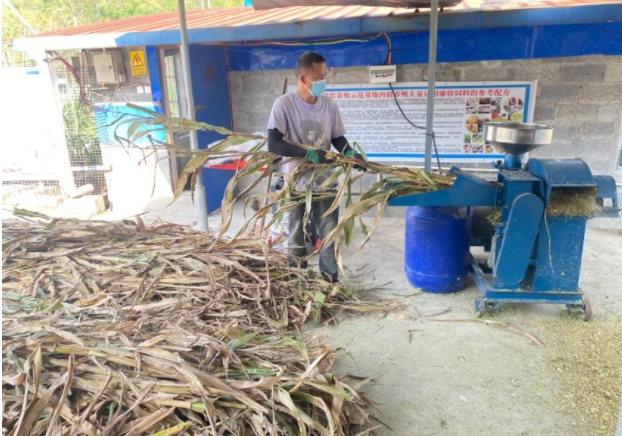 微信截圖_20250116104354.jpg 微信截圖_20250116104354.jpg