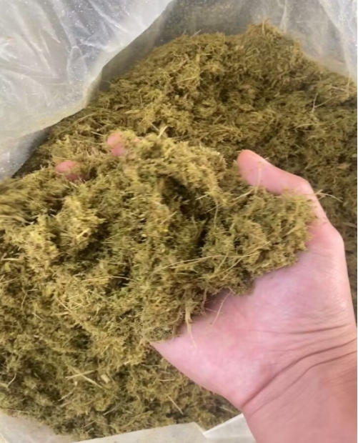 17352681861707624.jpg 17352681861707624.jpg