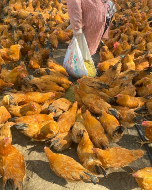 微信截圖_20250116104052.jpg 微信截圖_20250116104052.jpg