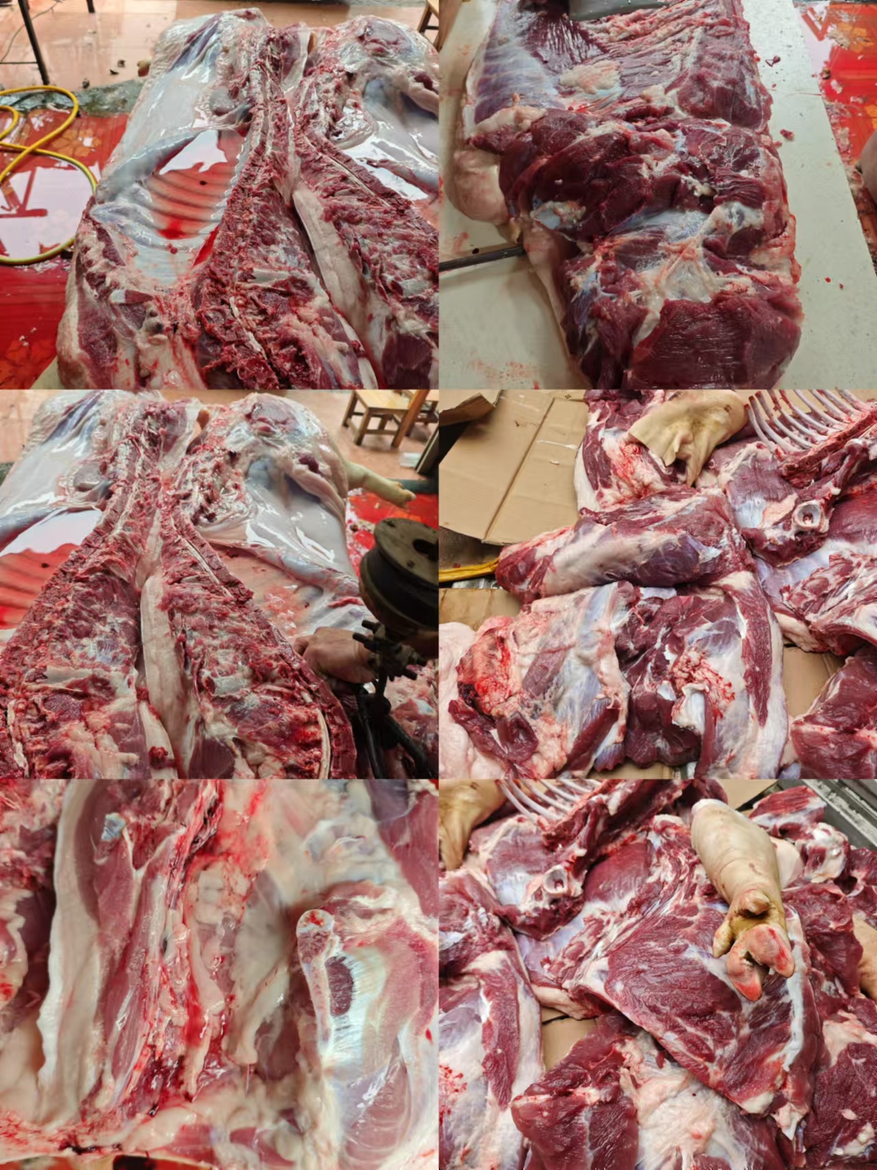 豬肉.jpg 豬肉.jpg