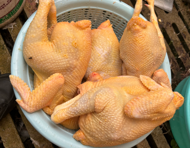 發酵牧草(肉雞).png 發酵牧草(肉雞).png