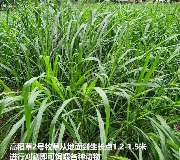 1ed5afc00a279d829fe086df56a5cff.png 1ed5afc00a279d829fe086df56a5cff.png