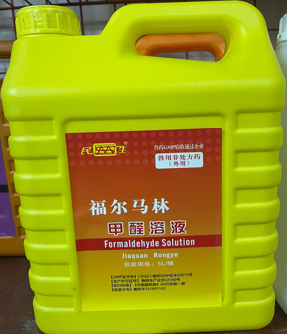 A2A981DE83EFB2CE74B04C36DD2C5846.png A2A981DE83EFB2CE74B04C36DD2C5846.png