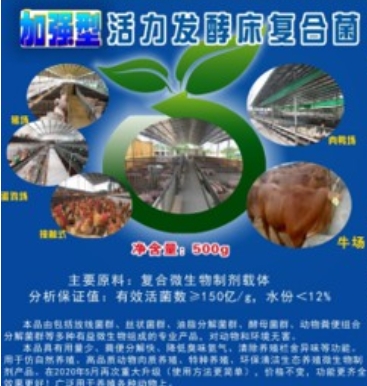 微信截圖_20250117143815.jpg 微信截圖_20250117143815.jpg