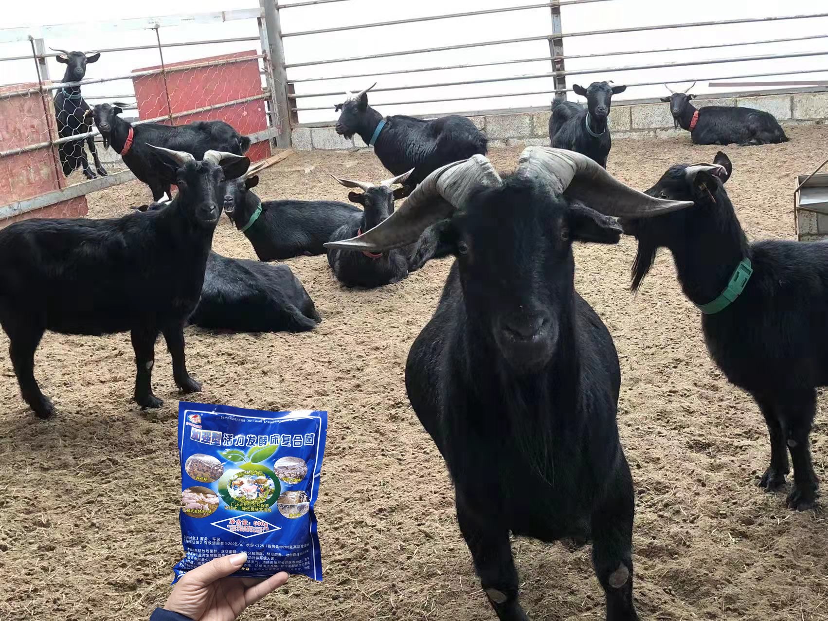 微信圖片_20250117113718.jpg 微信圖片_20250117113718.jpg