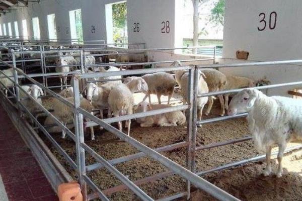 微信圖片_20250117112809.jpg 微信圖片_20250117112809.jpg