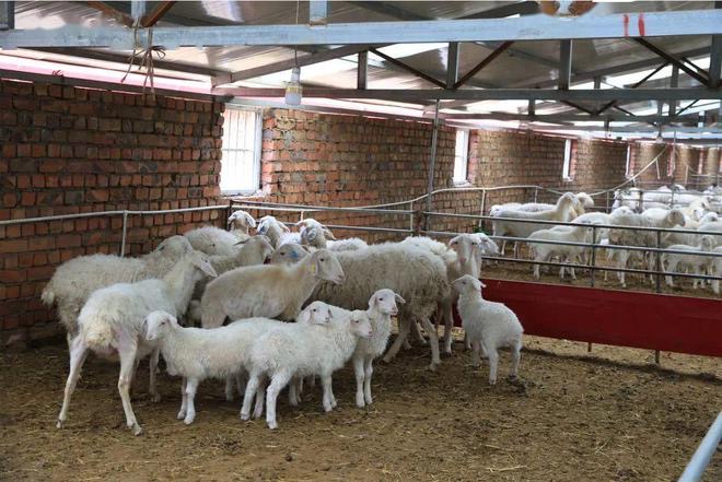 微信圖片_20250117112816.jpg 微信圖片_20250117112816.jpg