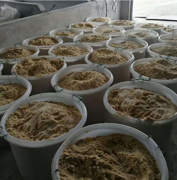 1737262478534.png 1737262478534.png