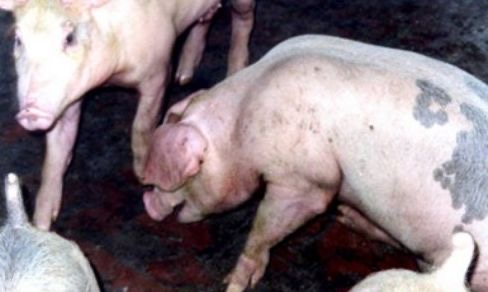 微信圖片_20250123112633.jpg 微信圖片_20250123112633.jpg