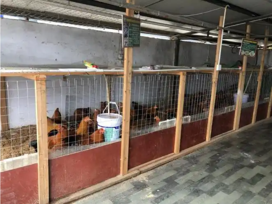 截圖20250205161915.png 截圖20250205161915.png