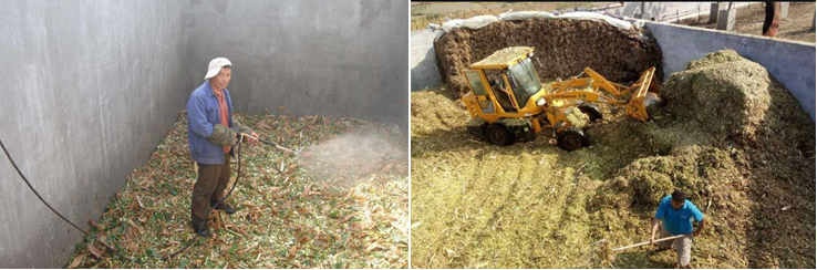 養(yǎng)牛3.png 養(yǎng)牛3.png