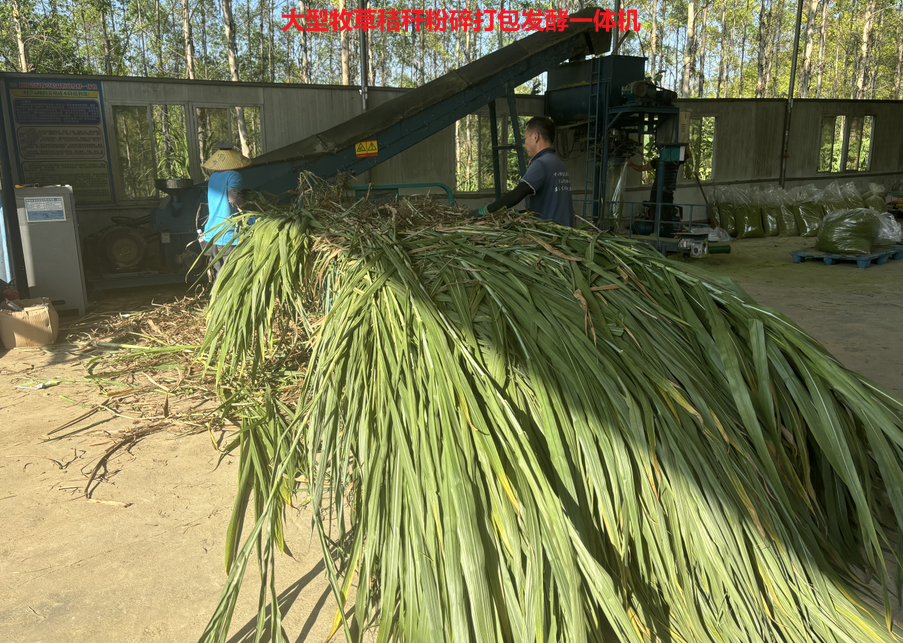 發(fā)酵牧草(粉碎機).png 發(fā)酵牧草(粉碎機).png