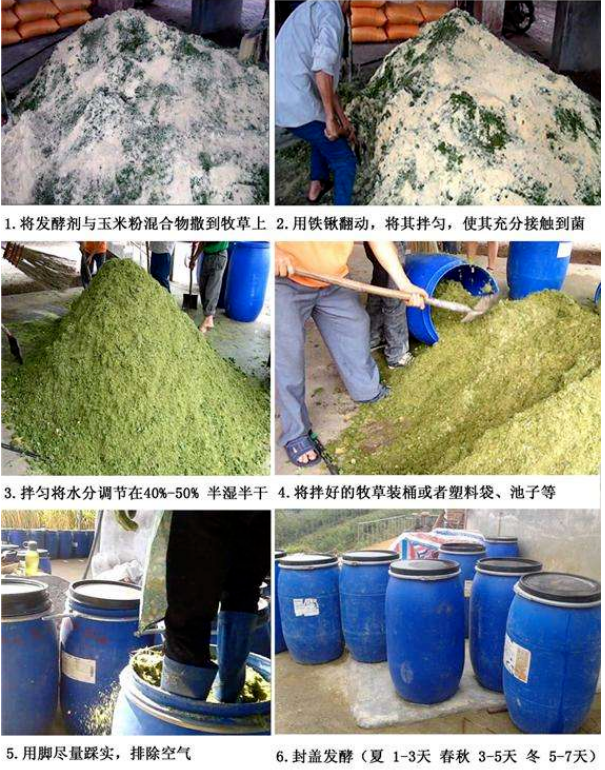 發(fā)酵牧草(發(fā)酵方法).png 發(fā)酵牧草(發(fā)酵方法).png