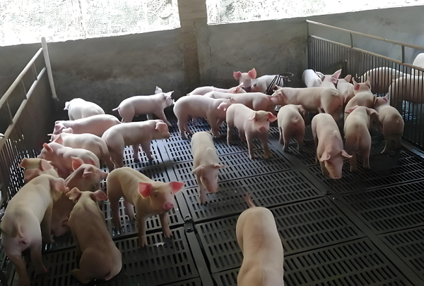 1738829412391.png 1738829412391.png