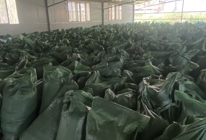 糖蔗濾泥(發酵好).png 糖蔗濾泥(發酵好).png