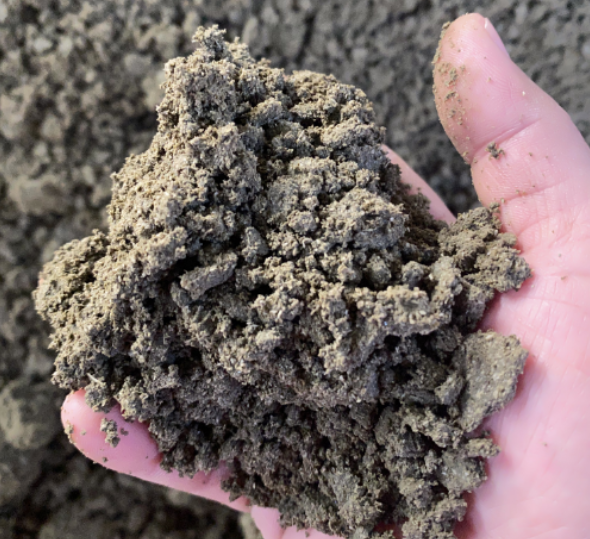 糖蔗濾泥.png 糖蔗濾泥.png