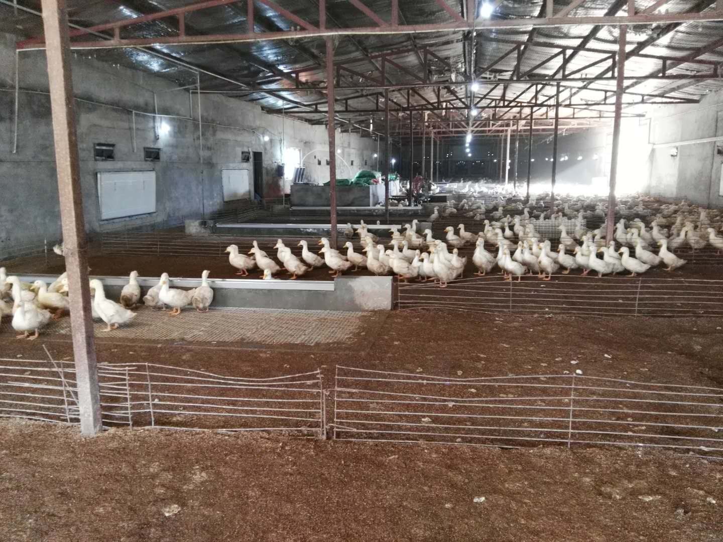 微信圖片_20250210103033.jpg 微信圖片_20250210103033.jpg