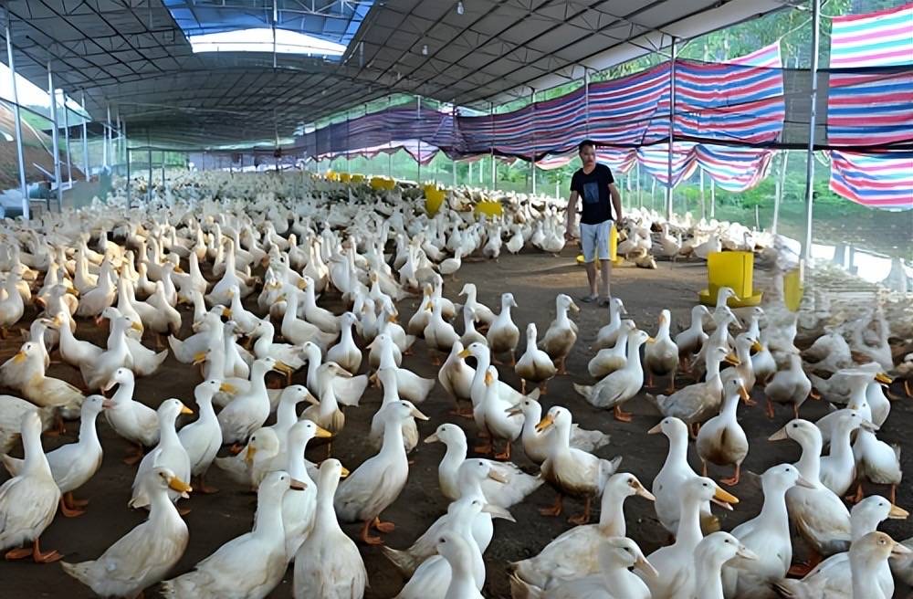 微信圖片_20250210104406.jpg 微信圖片_20250210104406.jpg