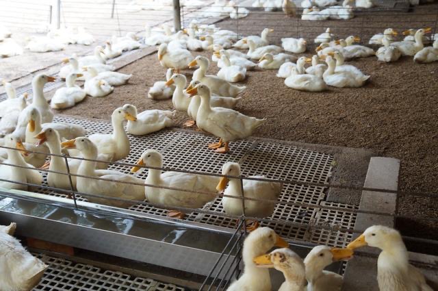 微信圖片_20250210103022.jpg 微信圖片_20250210103022.jpg