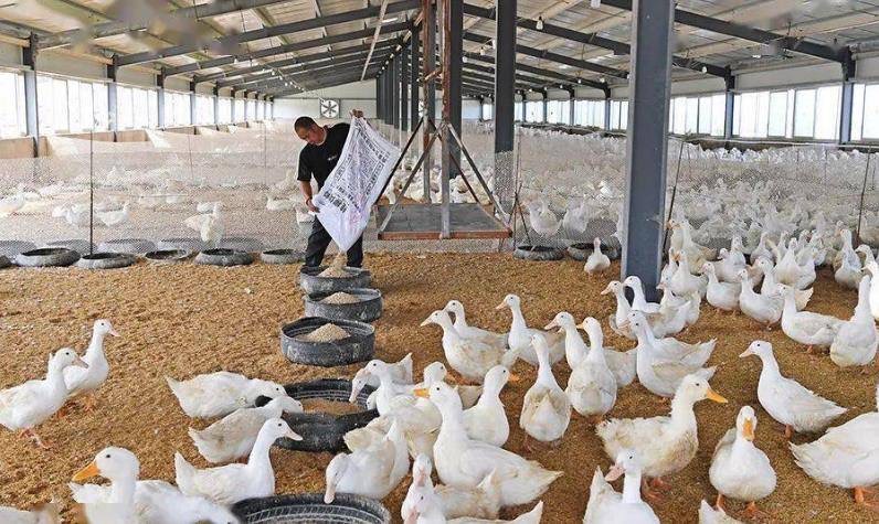 微信圖片_20250210103017.jpg 微信圖片_20250210103017.jpg