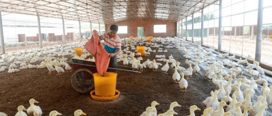 微信截圖_20250210104431.jpg 微信截圖_20250210104431.jpg