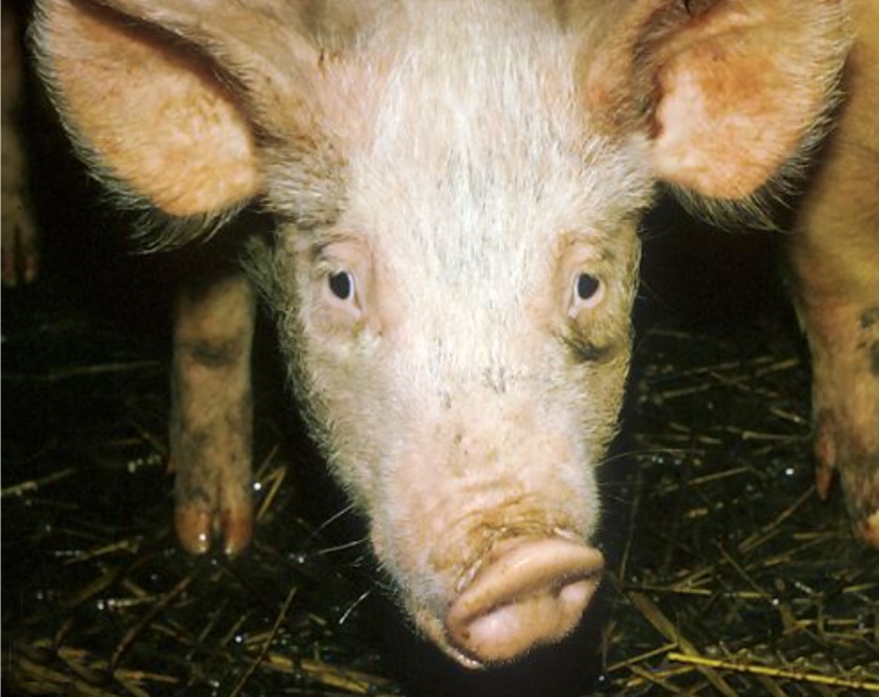 微信截圖_20250211095947.jpg 微信截圖_20250211095947.jpg